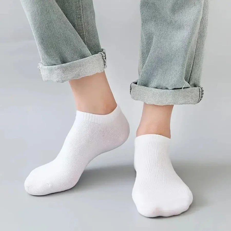 Premium Super Rich Cotton Sneaker / Loafer Socks for Men & Women (Pack of 6/12 Pairs)